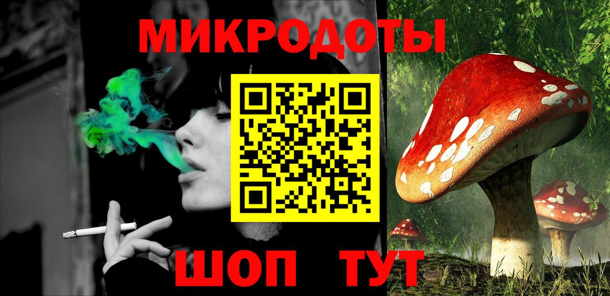 Галлюциногенные грибы Psilocybe Ревда