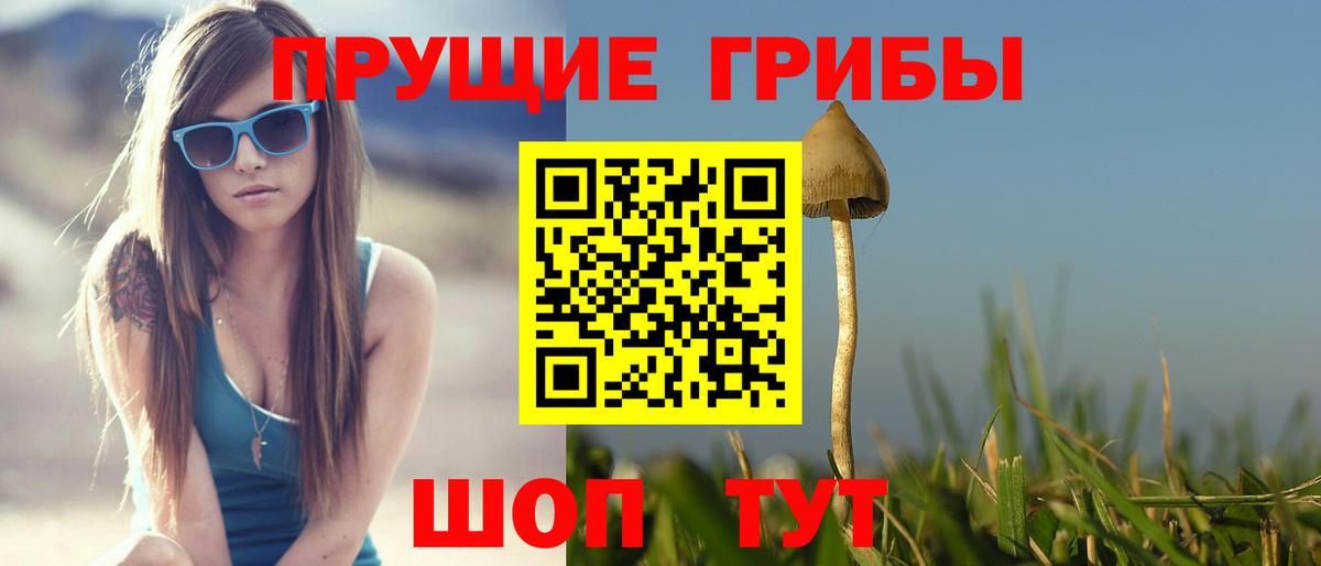 Псилоцибиновые грибы прущие грибы  Вход с VPN  Ревда 